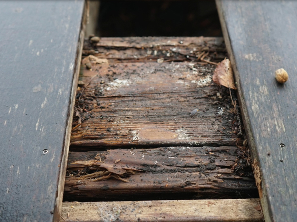 rotten decking inspection
